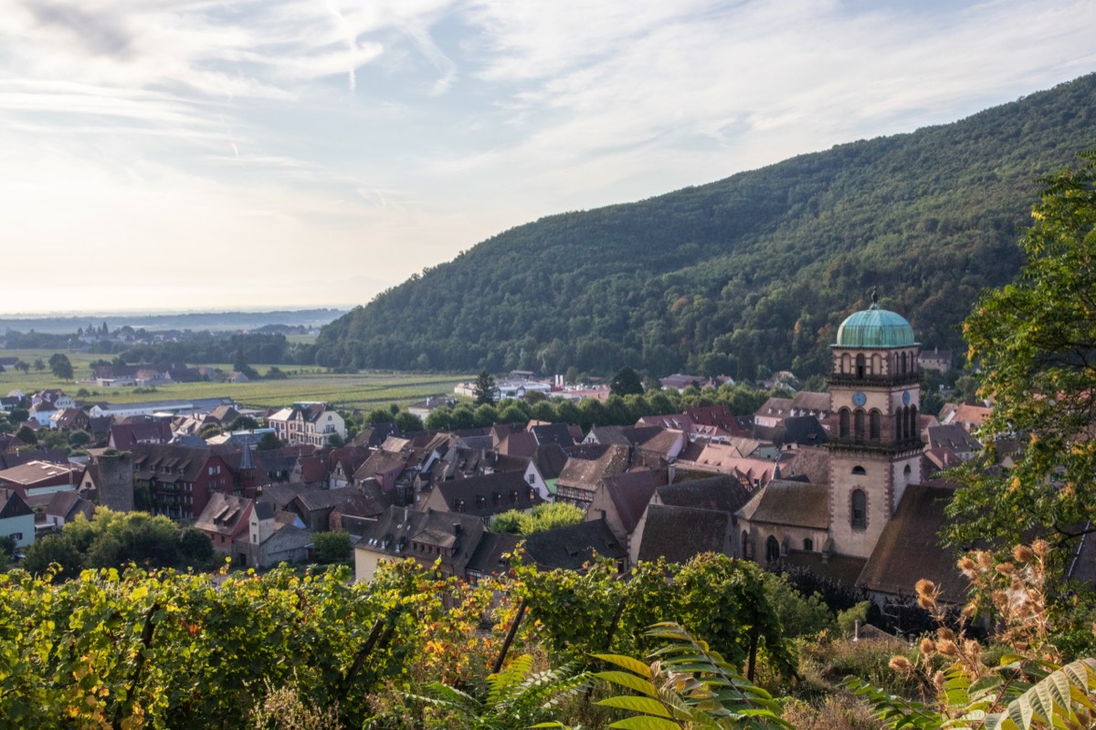 View on Kaysersberg