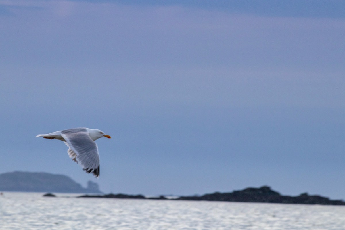 Zooming by