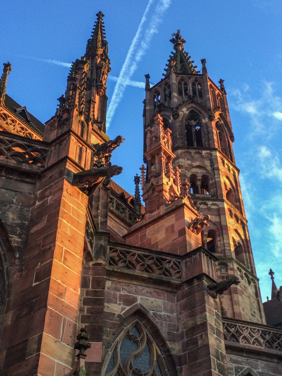 Freiburg Münster in the evening light