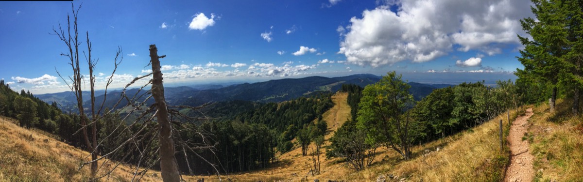 Belchen Panorama