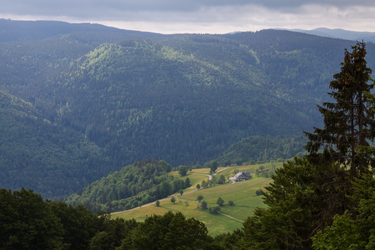Schauinsland