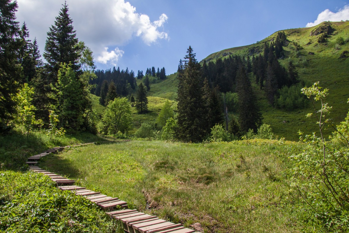 Feldberg
