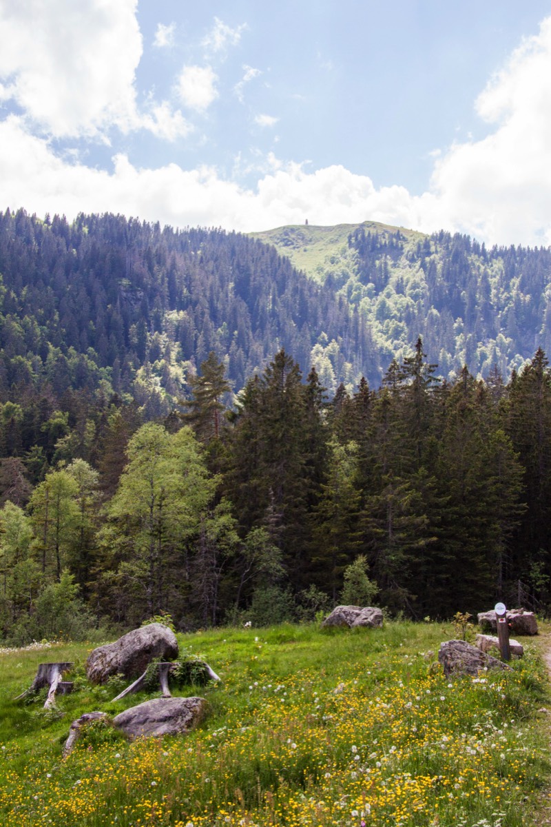 View to top of Feldberg