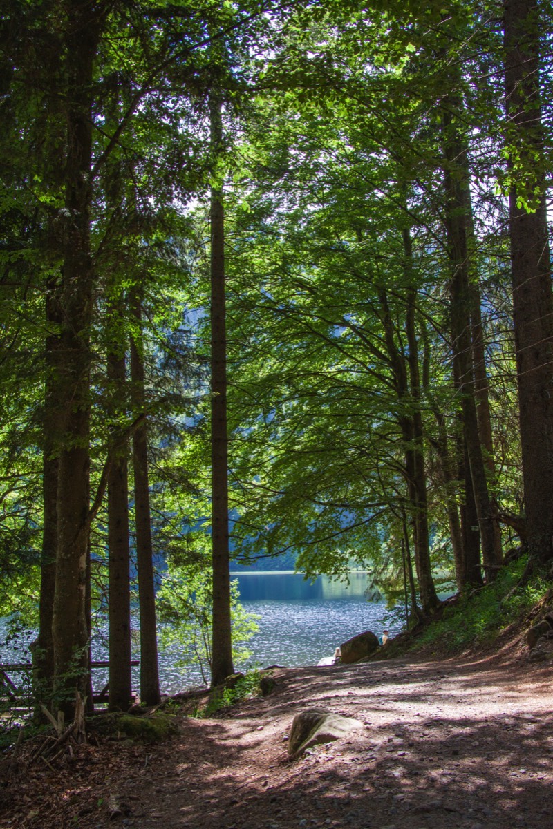 Feldsee from down below