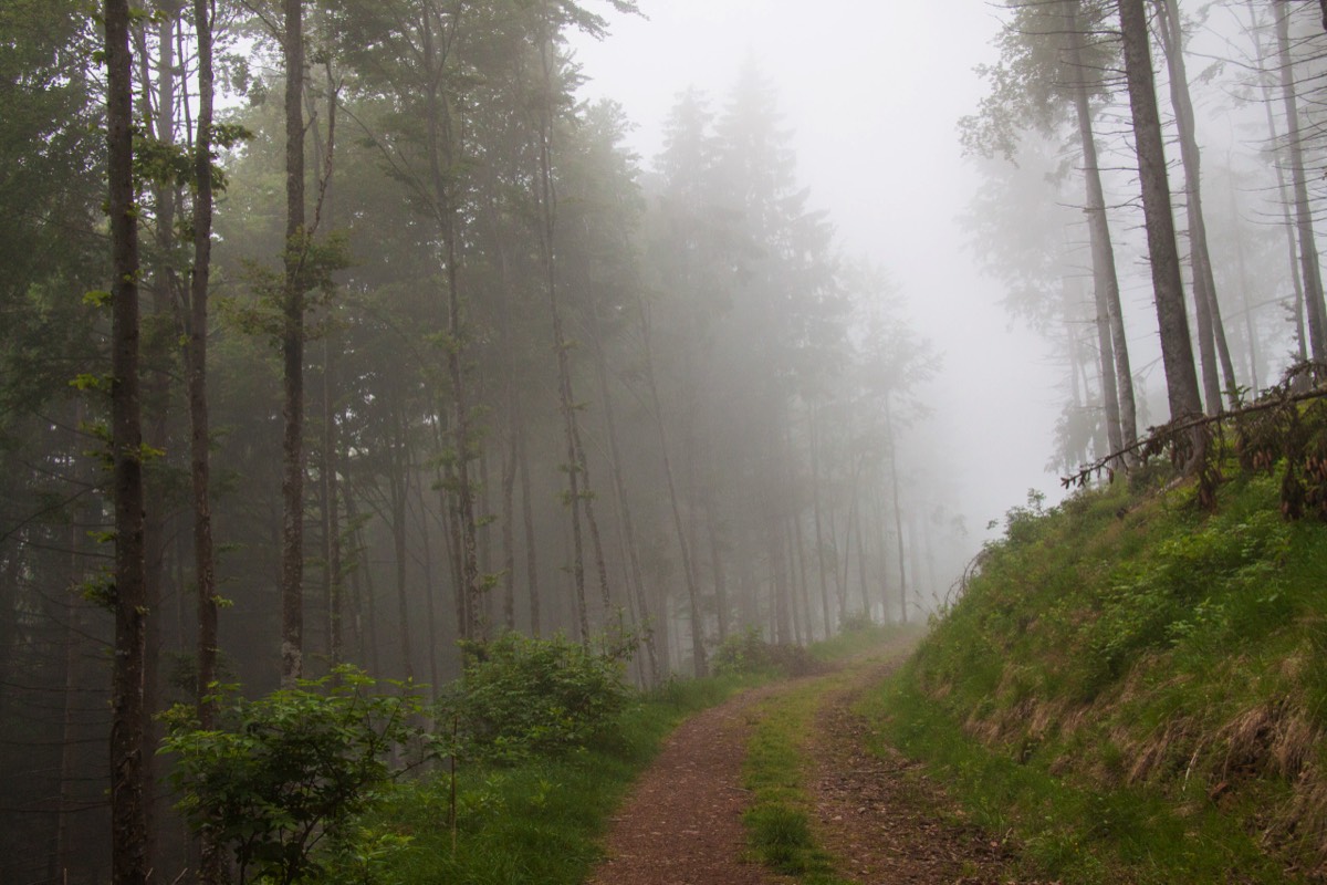 Clouds too close = Mist
