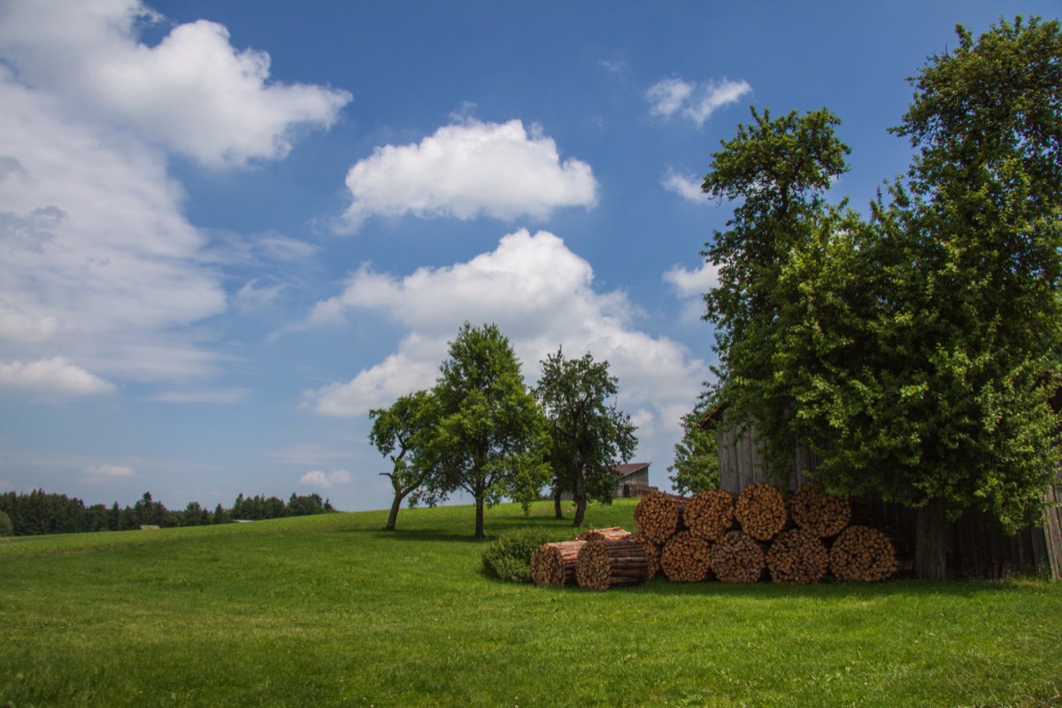 Rural landscape