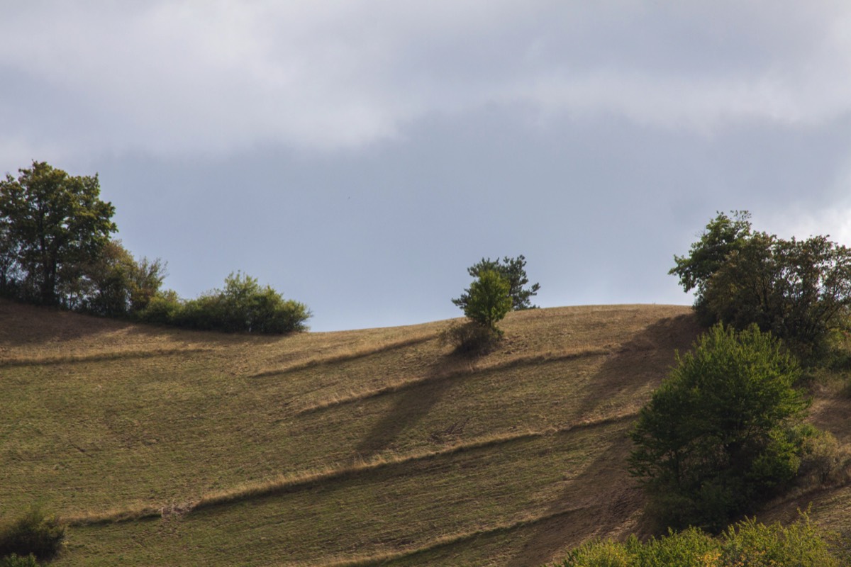 View on a hill
