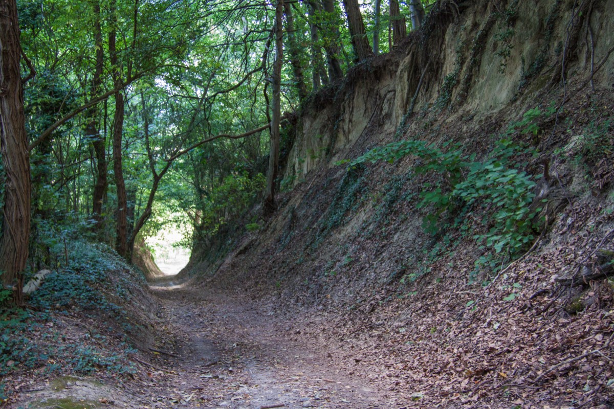 We expected to see hobbits coming our way