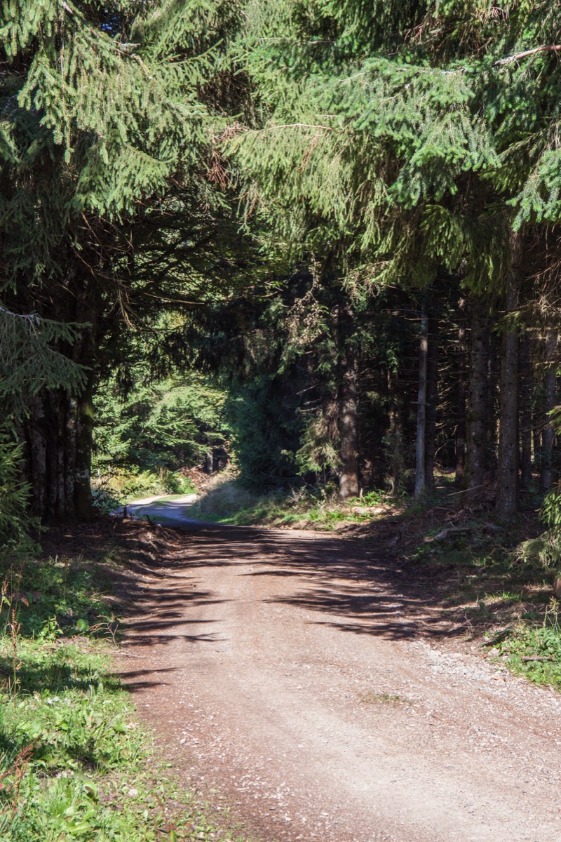 Belchen walk with more sunshine