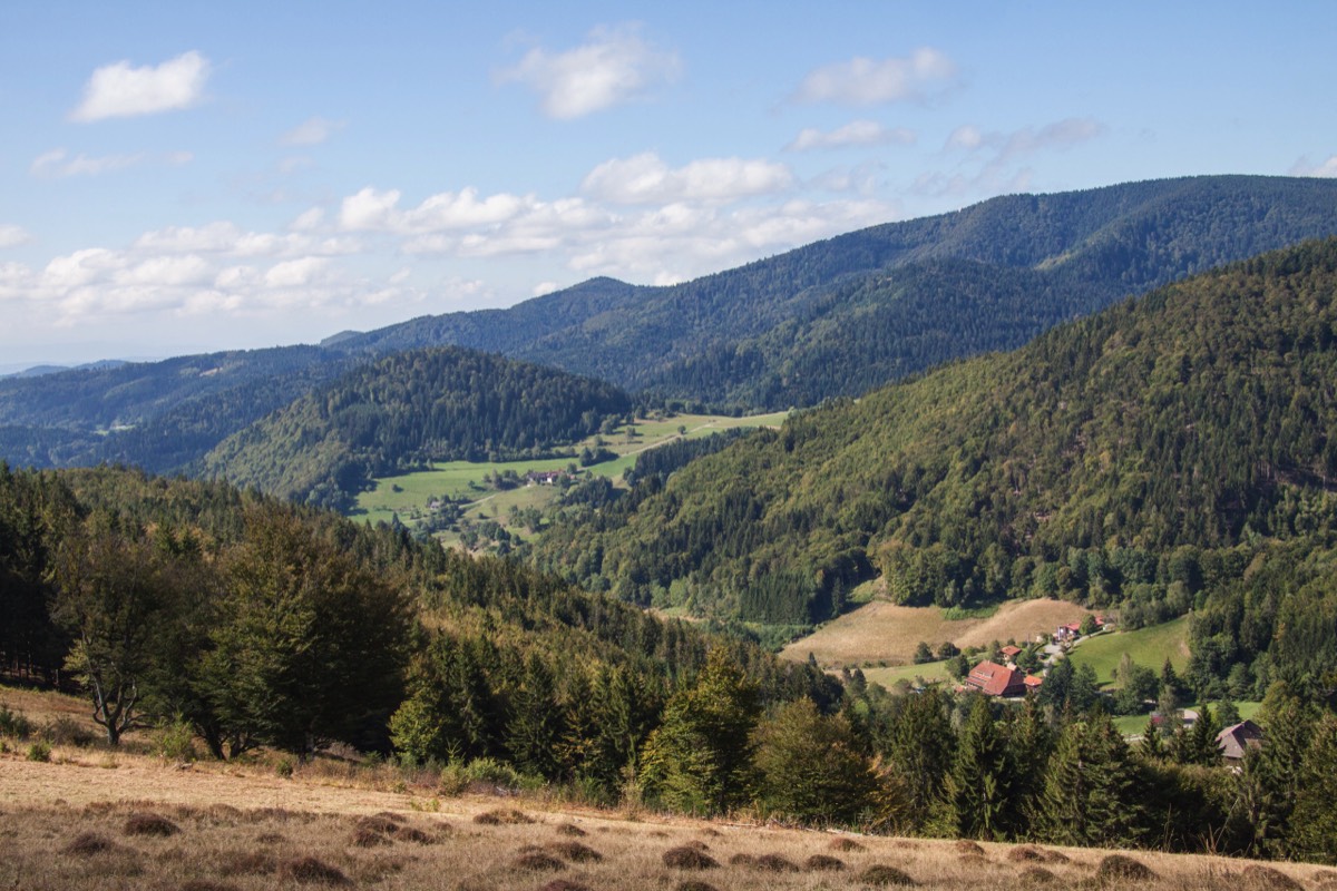 Valley view without mist
