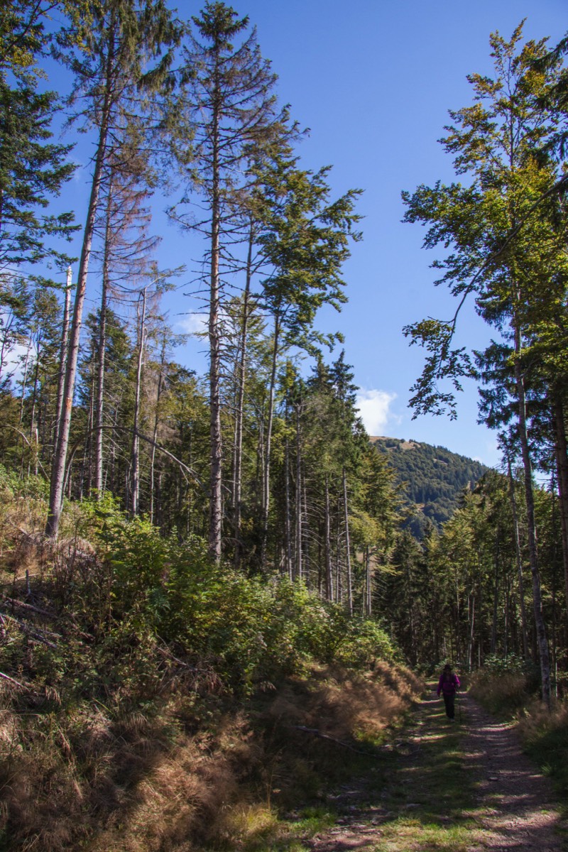 Belchen walk