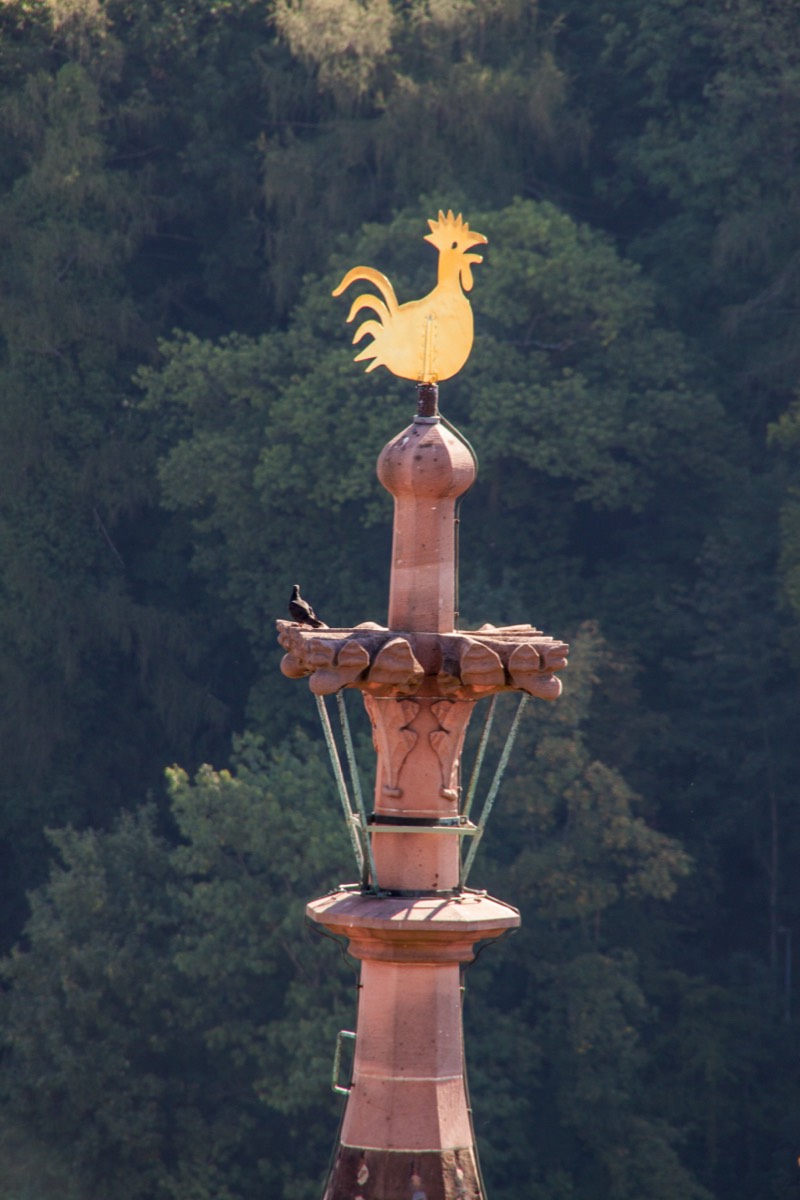 Wind vane on the Münster
