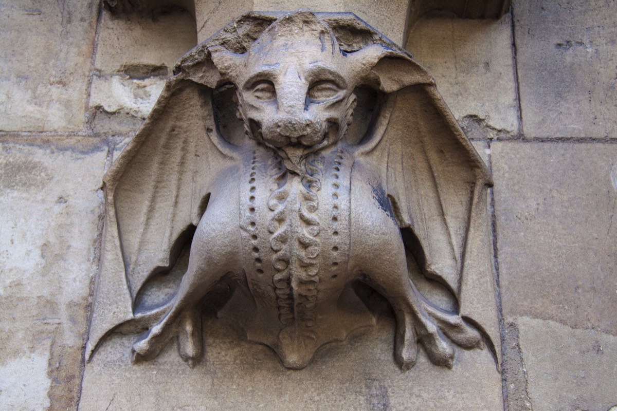 Dragons...