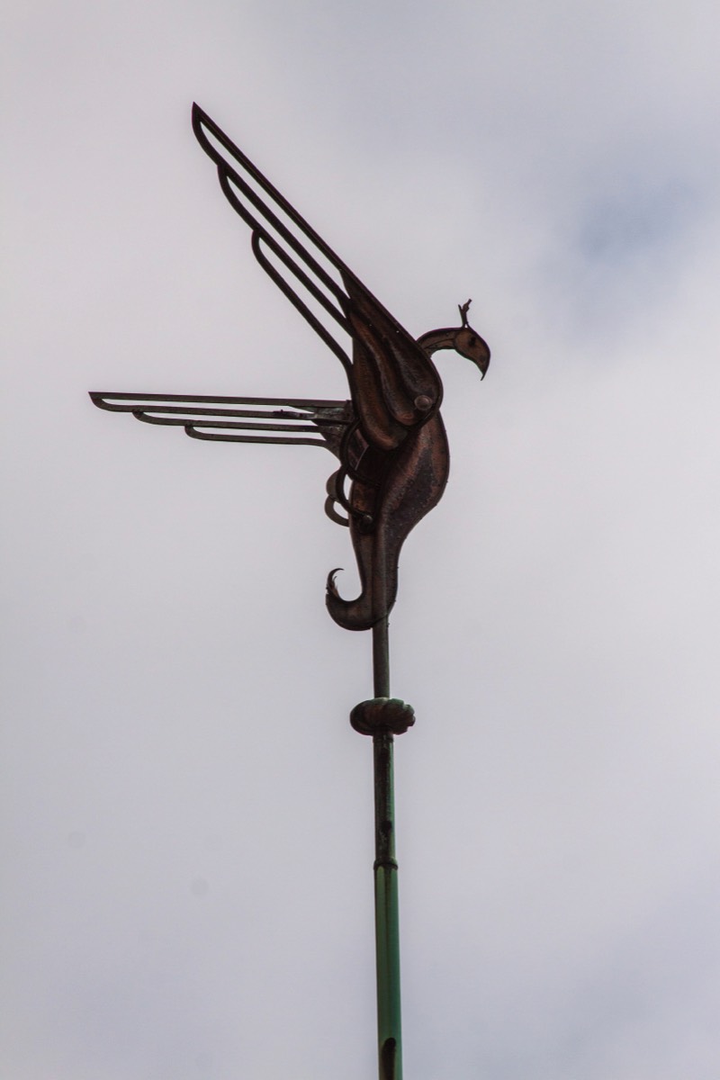 Weathervanes do not need to be cocks