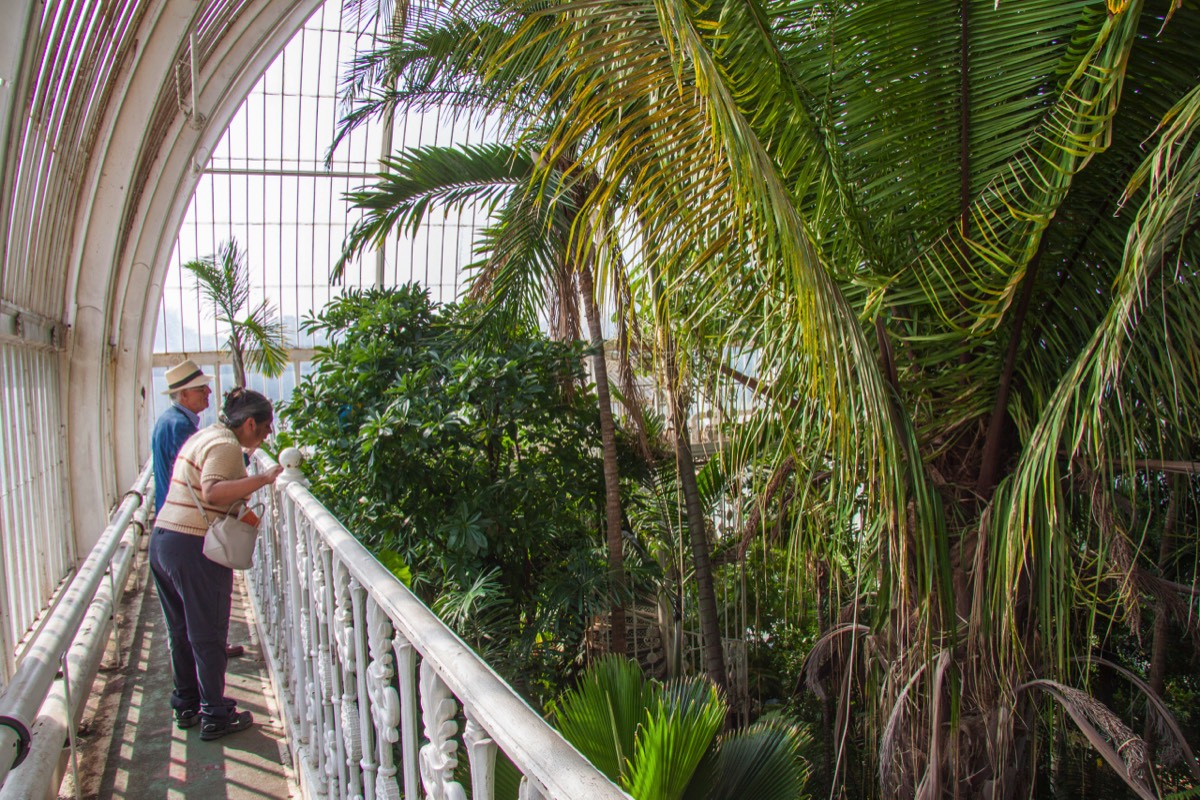 Kew Gardens with John
