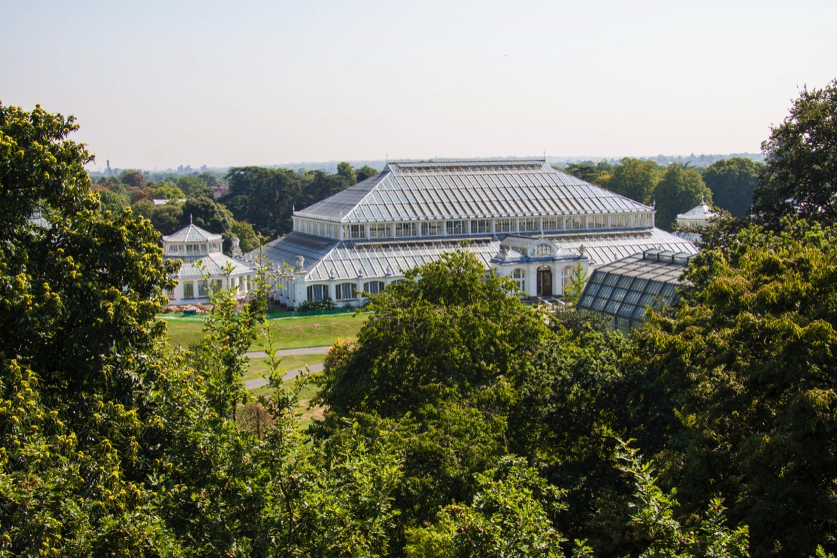 Another greenhouse (this one was closed for renovation)