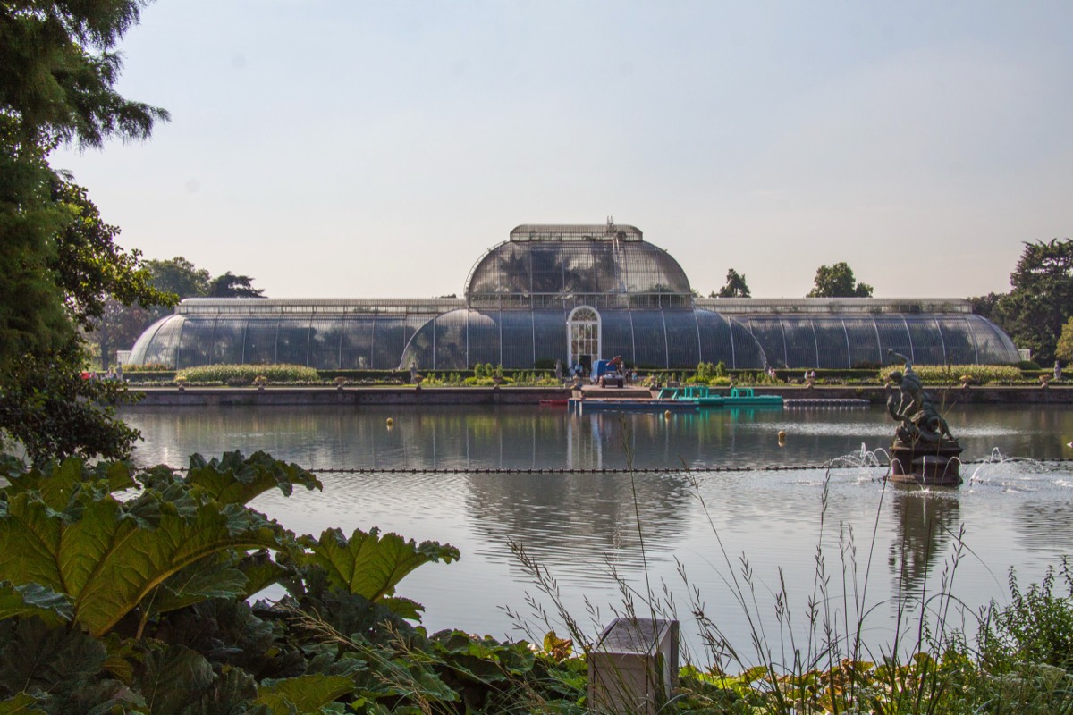 The greenhouse's shape is inspired on an inverted boat