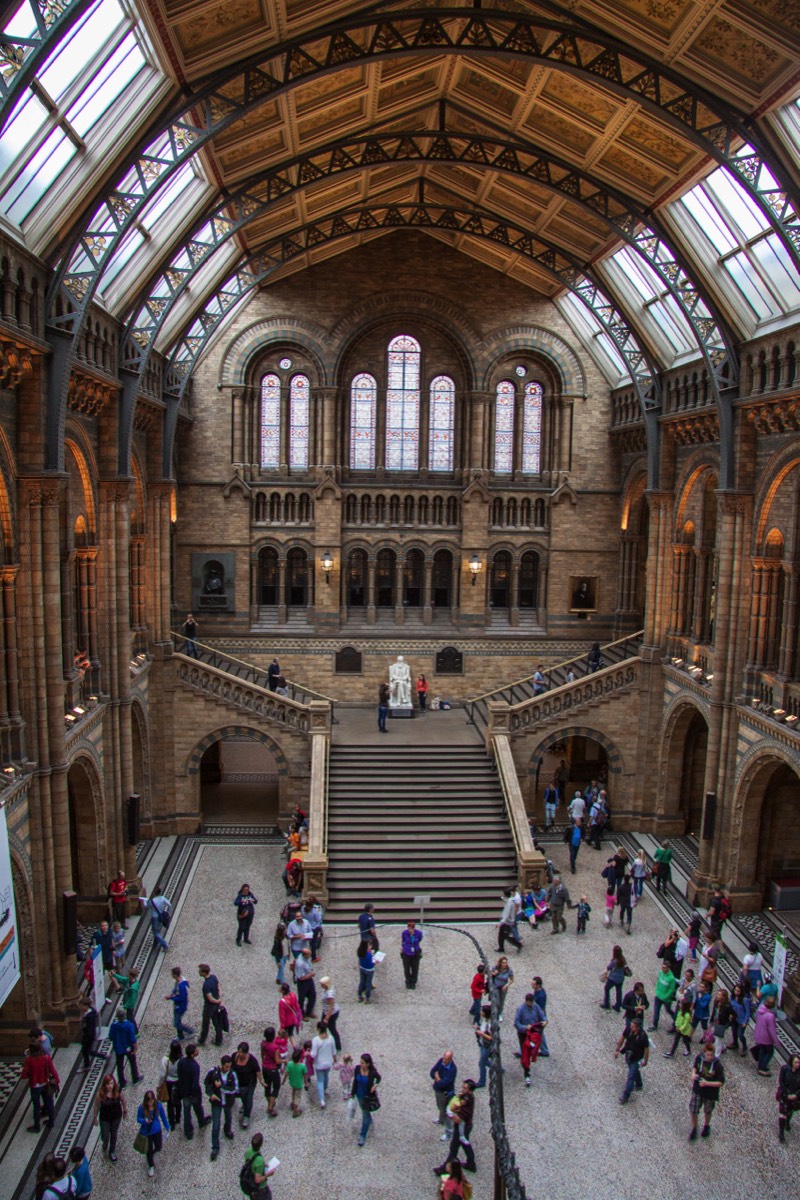 Overview of the magnificent hall