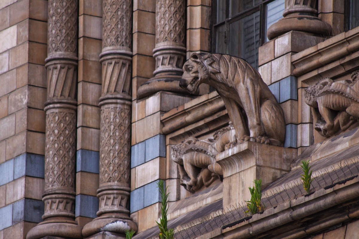 Natural History Museum on the outside