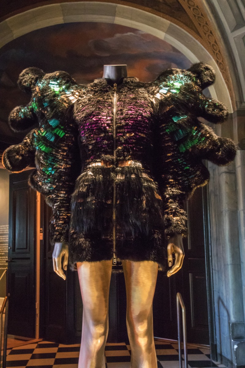 Björk's costume