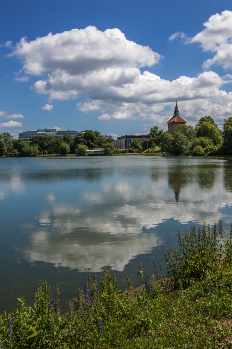 Symmetry in the park