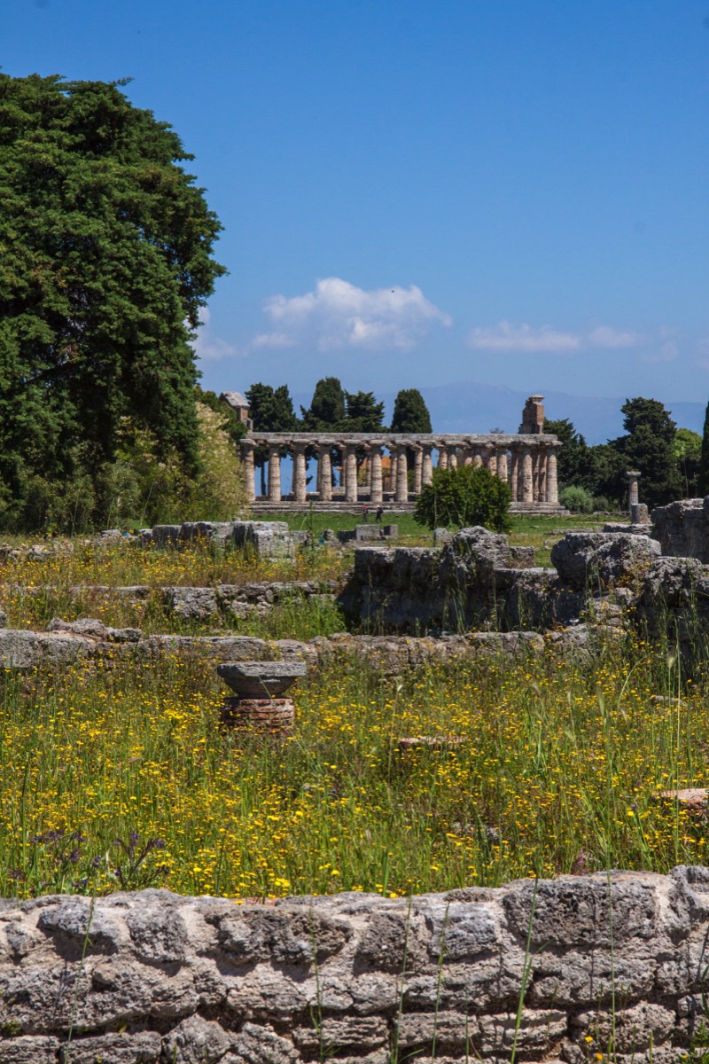 Paestum - Farther view of temple of Athena
