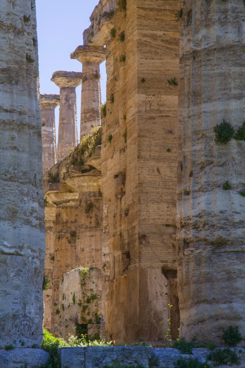 Columns in the temple of Hera
