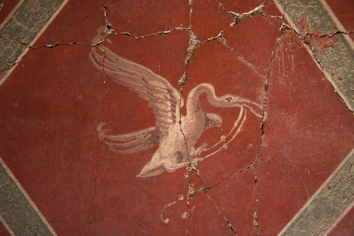 Villa of Popeia - A swan?