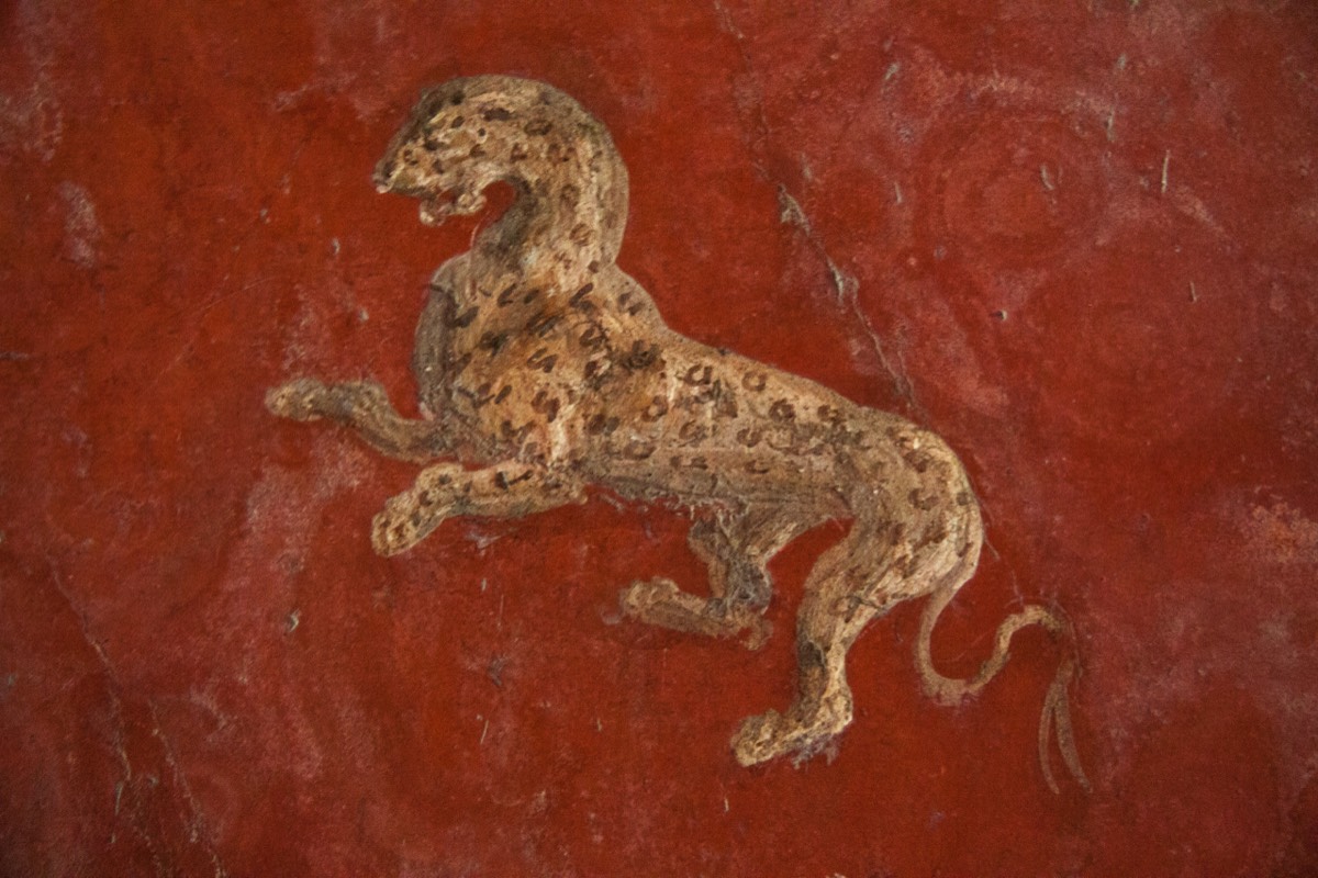 Villa of Popeia - Leopard