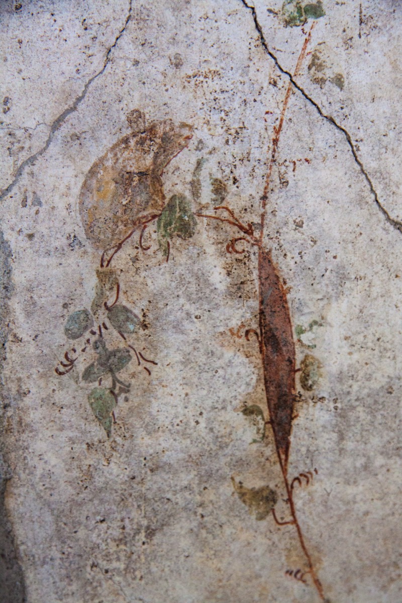Villa of Popeia - Fresco detail of a dormouse