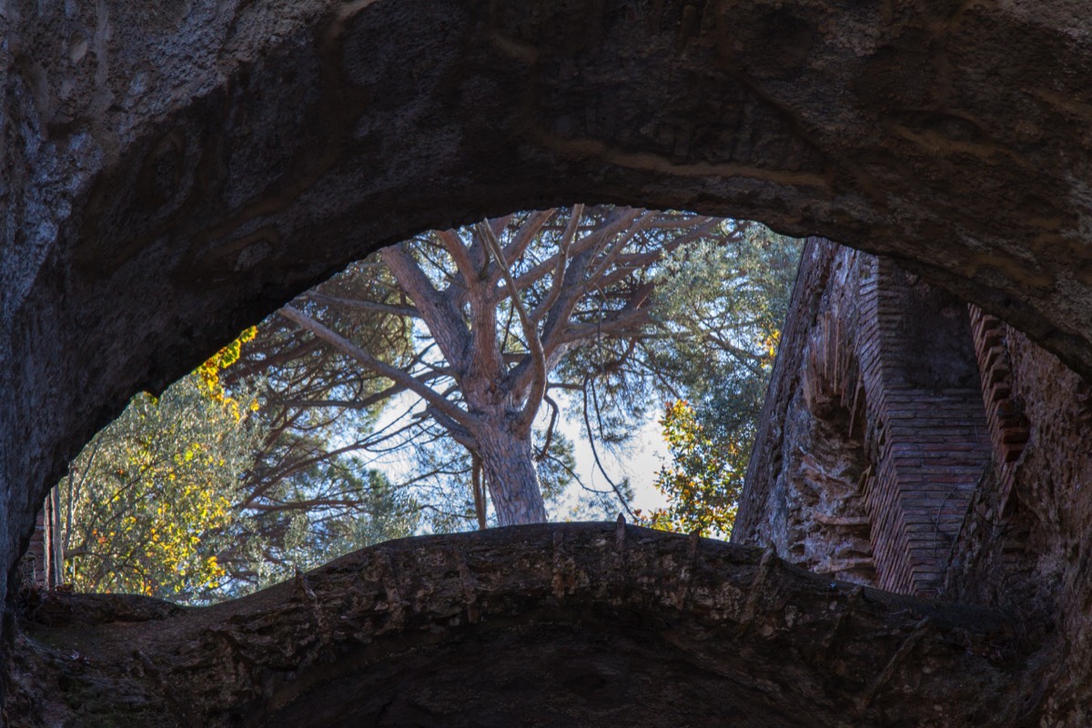 Peek-through Canopus