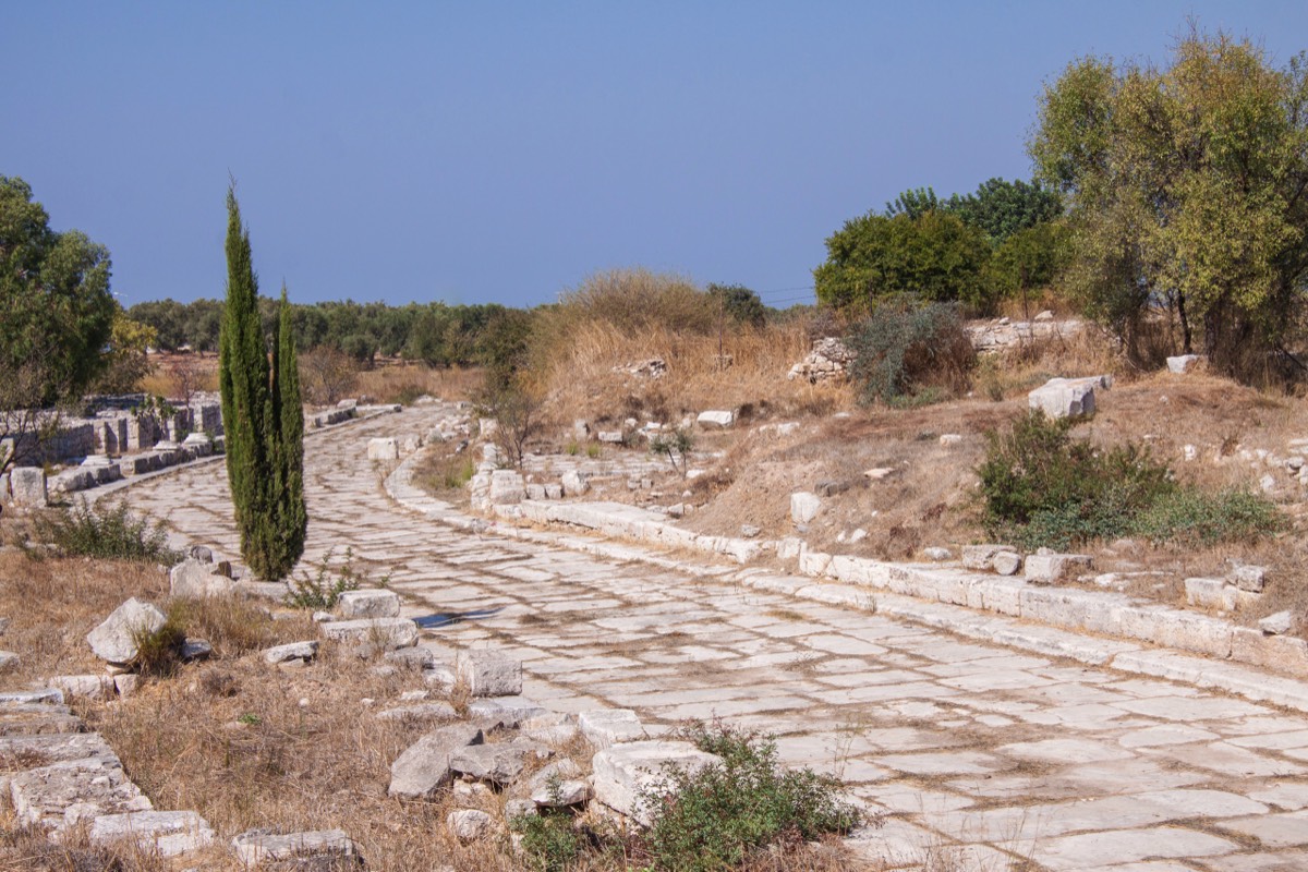 Didyma - sacred road