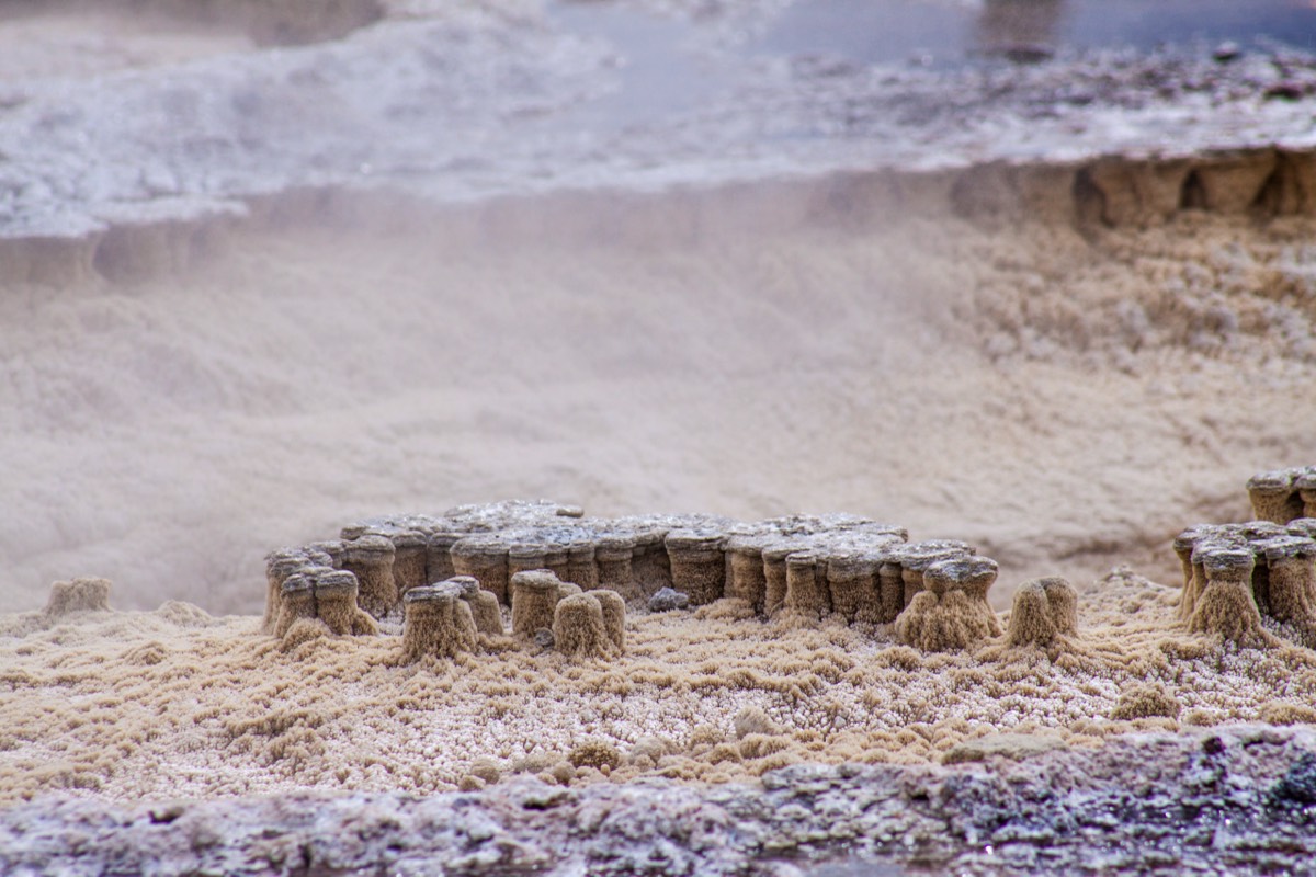 Old Faithfull Geyser Basin - Colourful detail