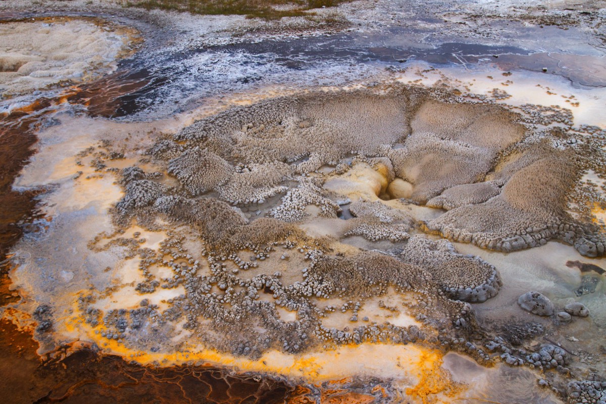 Biscuit Basin - Colourful detail