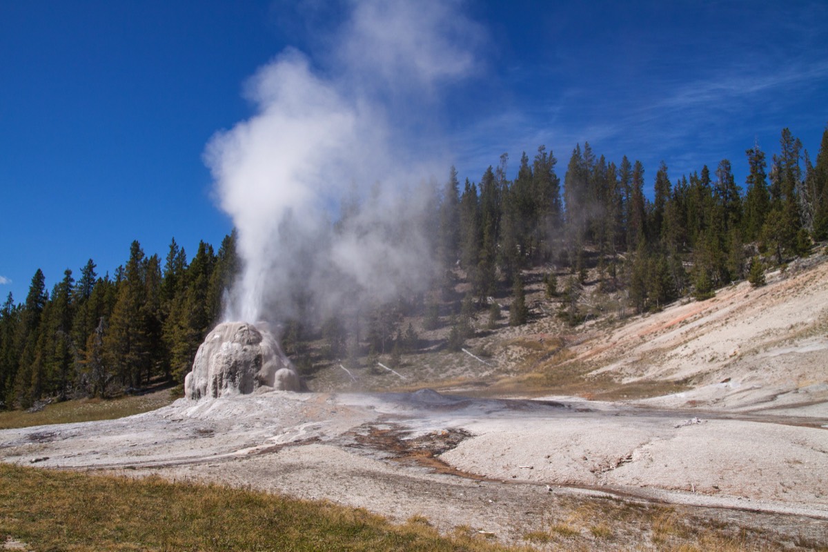 Lone Star Geyser doing its thing