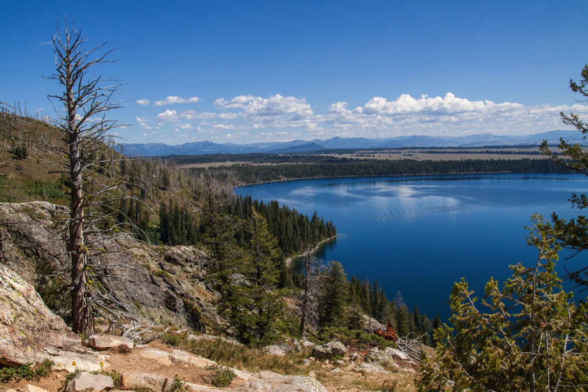 Jenny Lake