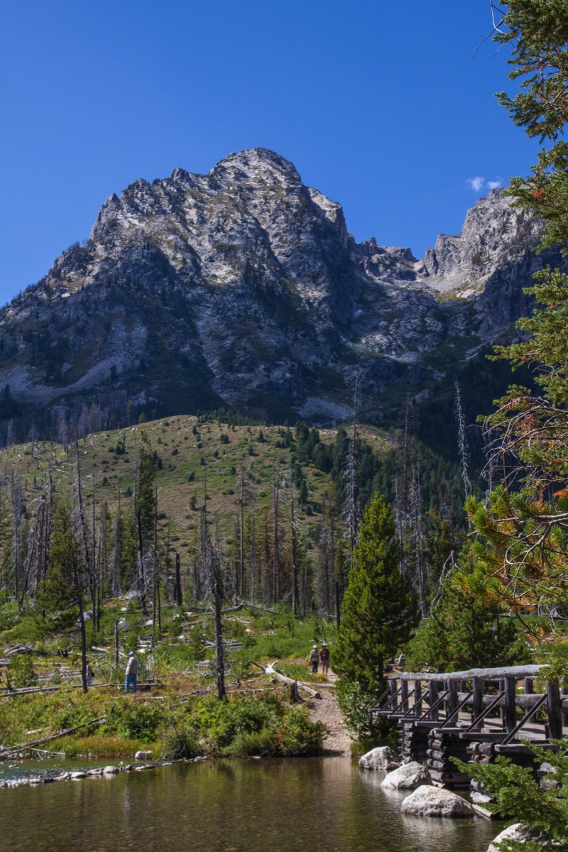 Jenny Lake Trail