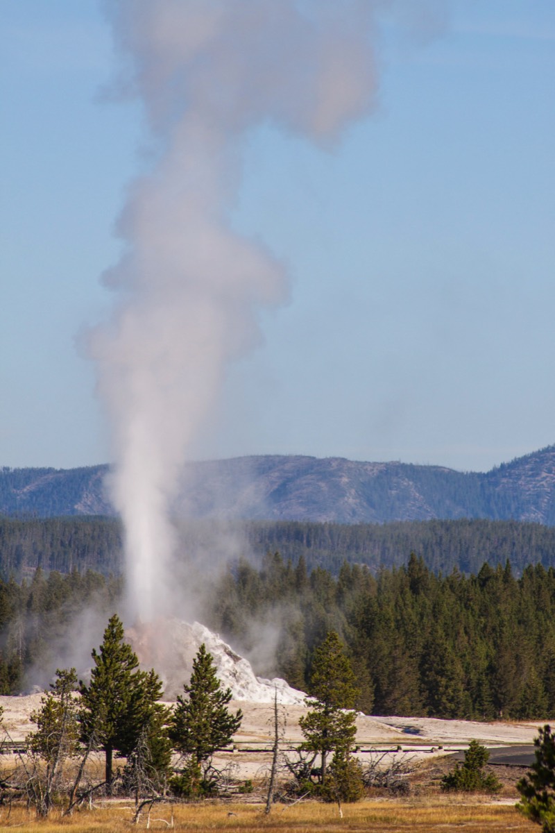 Firehole Lake Drive - White Dome geyser