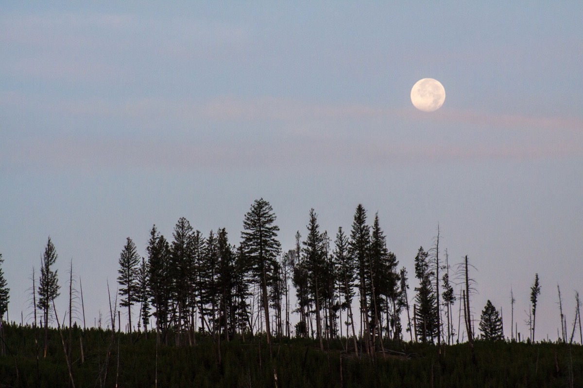 Moon in the early morning