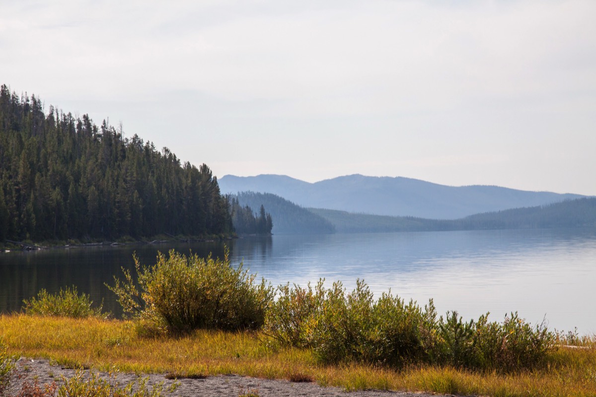 View on Shoshone Lake