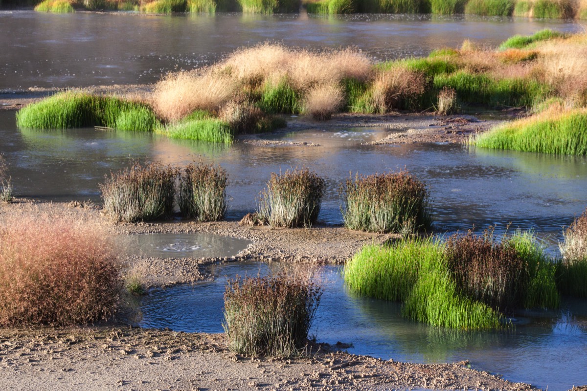 Mud Volcano - tufts and ponds