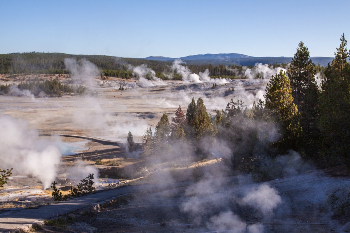 Norris Geyser Basin - Overview