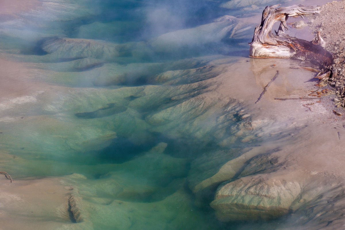 Norris Geyser Basin - Blue-grey