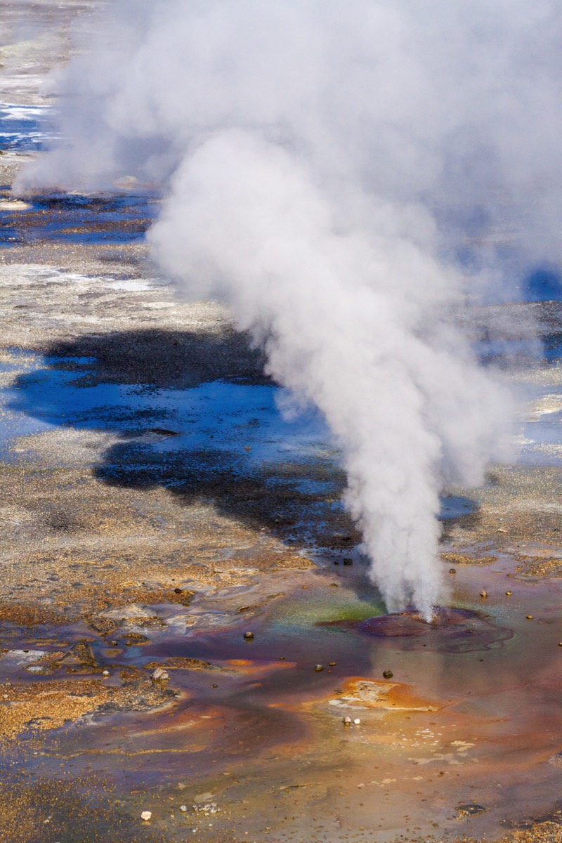 Norris Geyser Basin - geyser