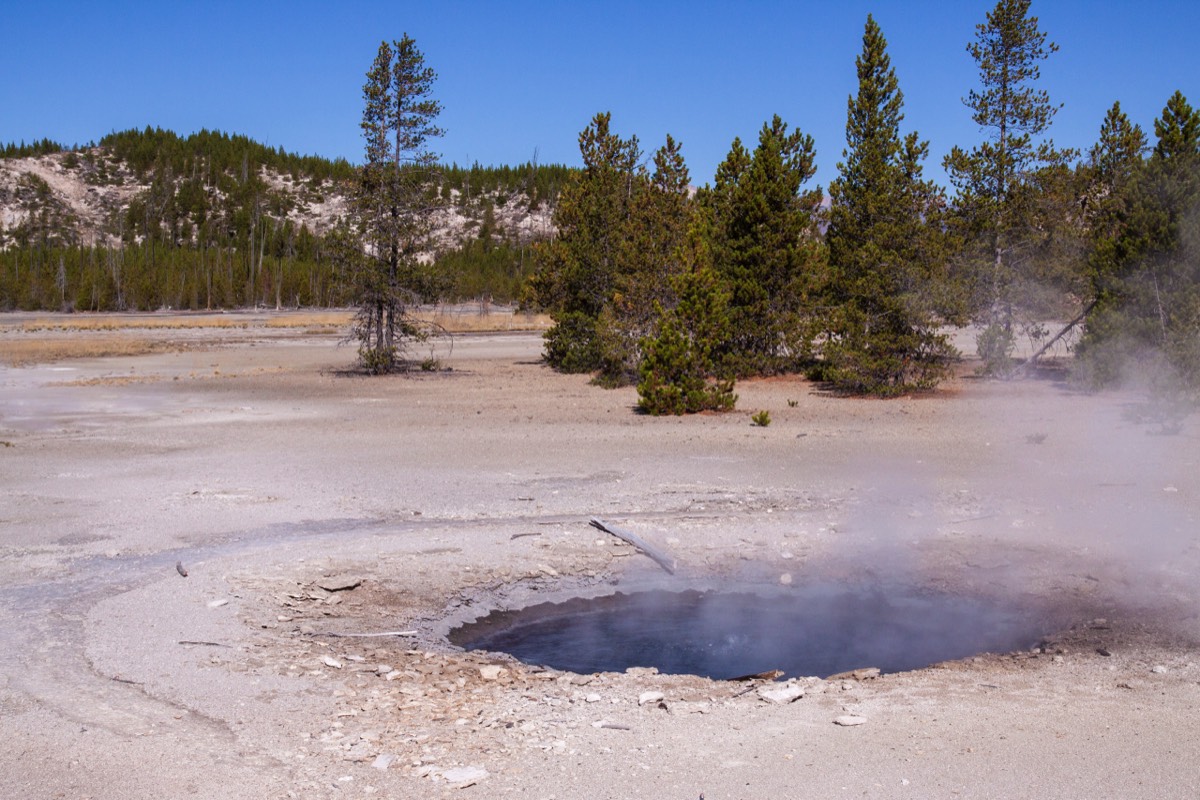 Norris Geyser Basin - water