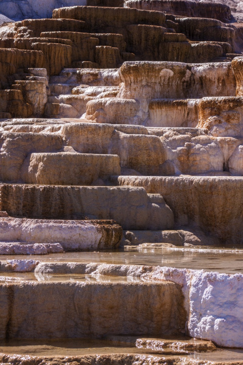 Mammoth Hot Springs terraces