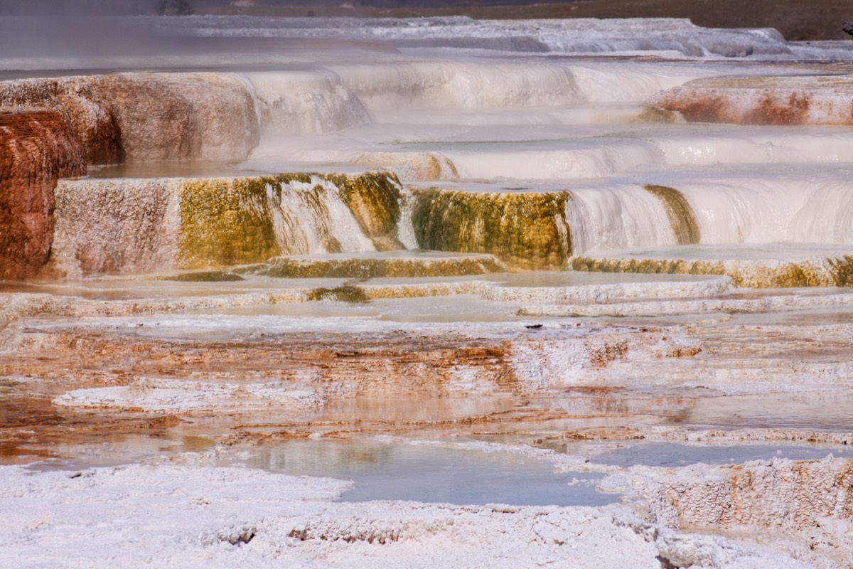 Mammoth Hot Springs terraces