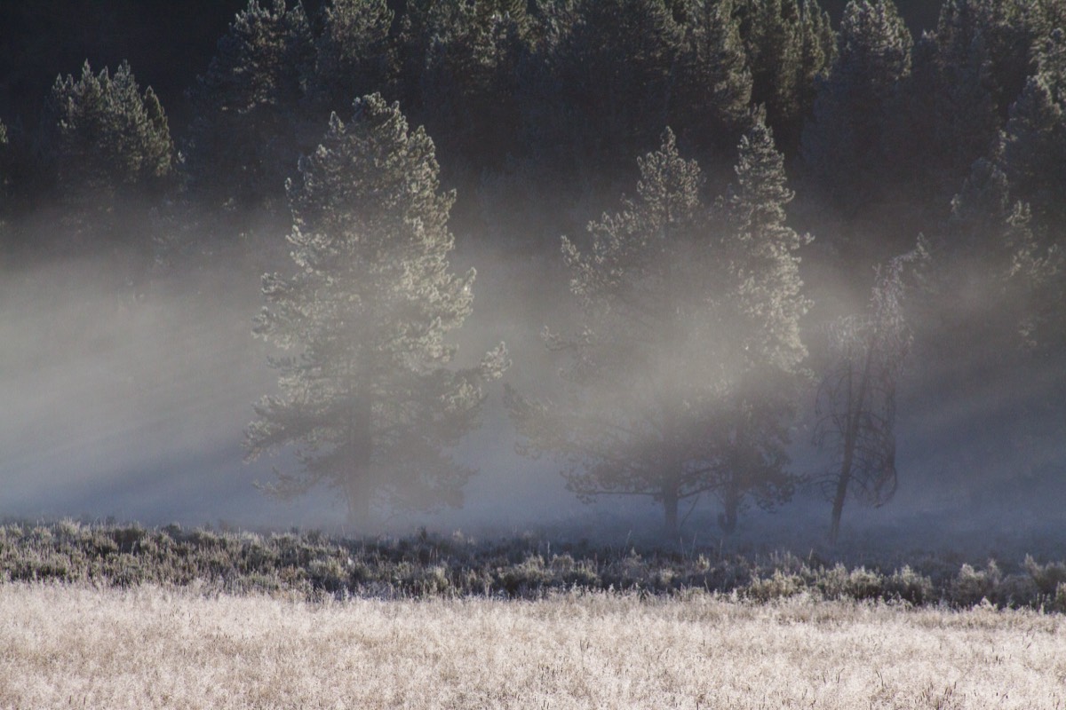 Striking light ...