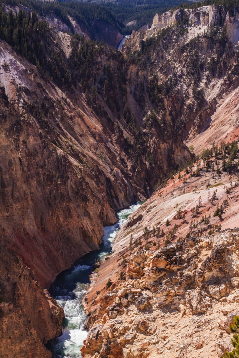 Grand Canyon of the Yellowstone - Northern Rim