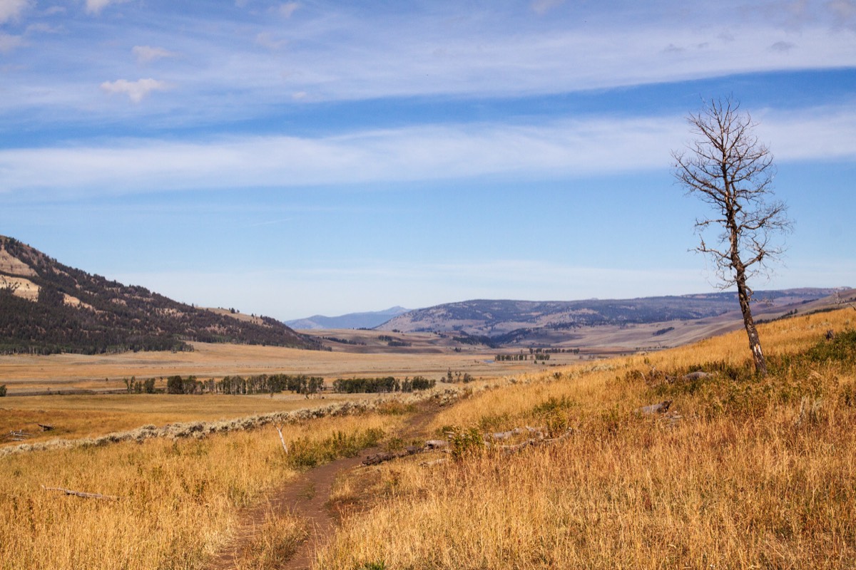 Soda Butte Trail - Lamar Valley